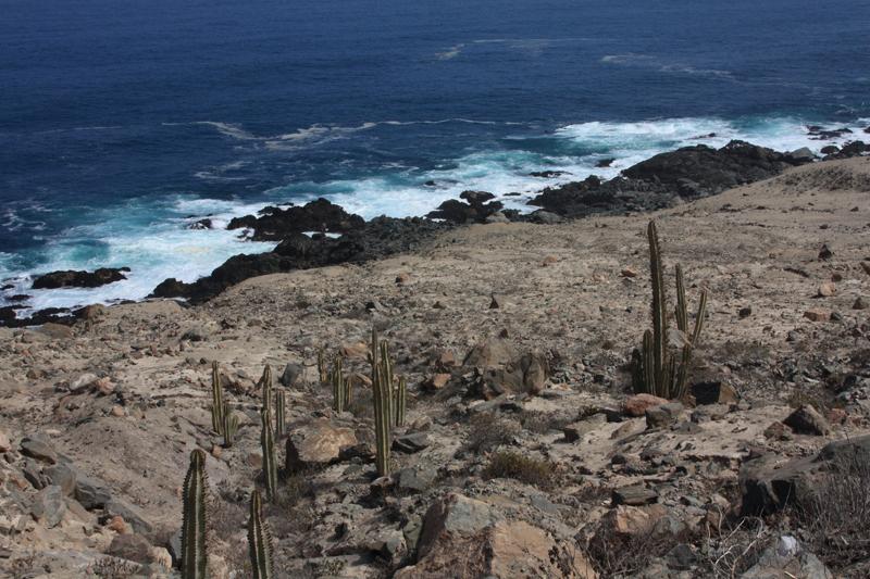 1051-per Nazca (panamericana),17 luglio 2013.JPG